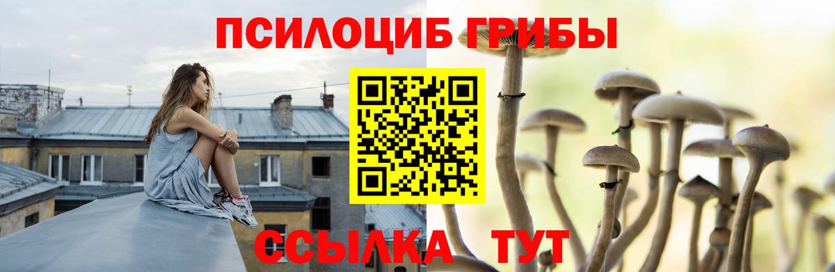 как найти наркотики  Галлюциногенные грибы ЛСД  Нягань  Вход с VPN  Псилоцибиновые грибы Magic Shrooms 